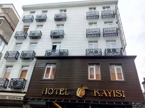 HOTEL KAYISI to istanbul airport transfer