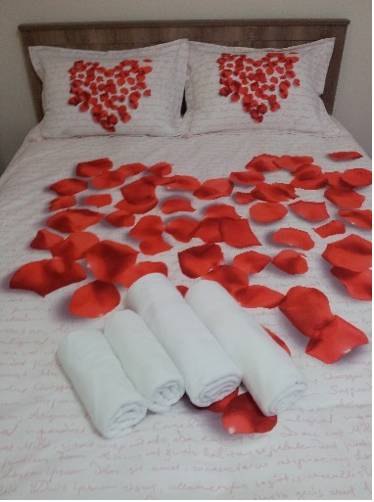 Nelly Guesthouse to istanbul airport transfer
