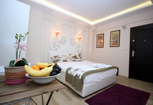 Mini House to istanbul airport transfer
