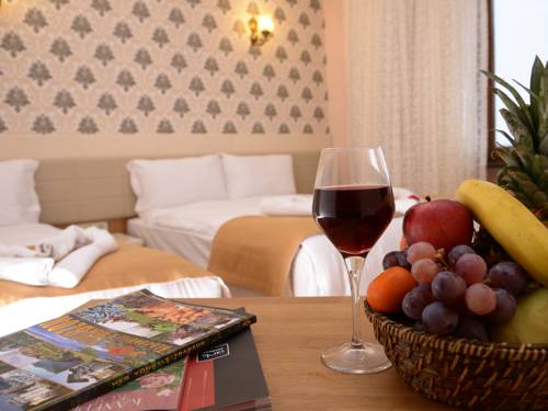 Grand Seigneur Hotel Old City to istanbul airport transfer