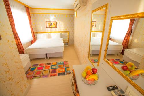 Dedem Boutique Hotel to istanbul airport transfer