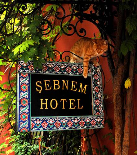 Şebnem Hotel to istanbul airport transfer