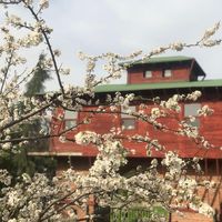 Hermes Country Club to istanbul airport transfer