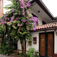 Villa Sphendone Suites to istanbul airport transfer