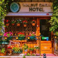 Walnut Shell Hotel to istanbul airport transfer